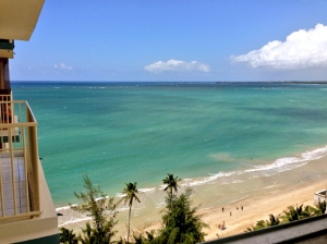 the view in Puerto Rico