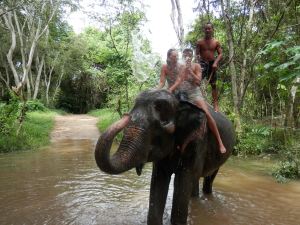 elephant bath