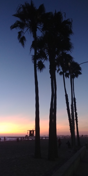 Beach. Sunset. Palms